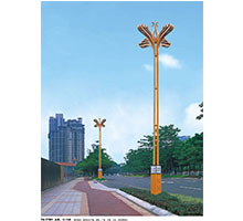 如意LED景观路开云(中国)